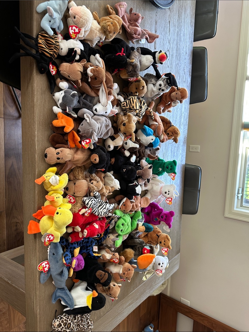 50+ Ty Beanie Babies Assorted Plush Toy Collection - Multicolor